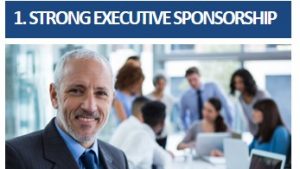 executive sponsorship